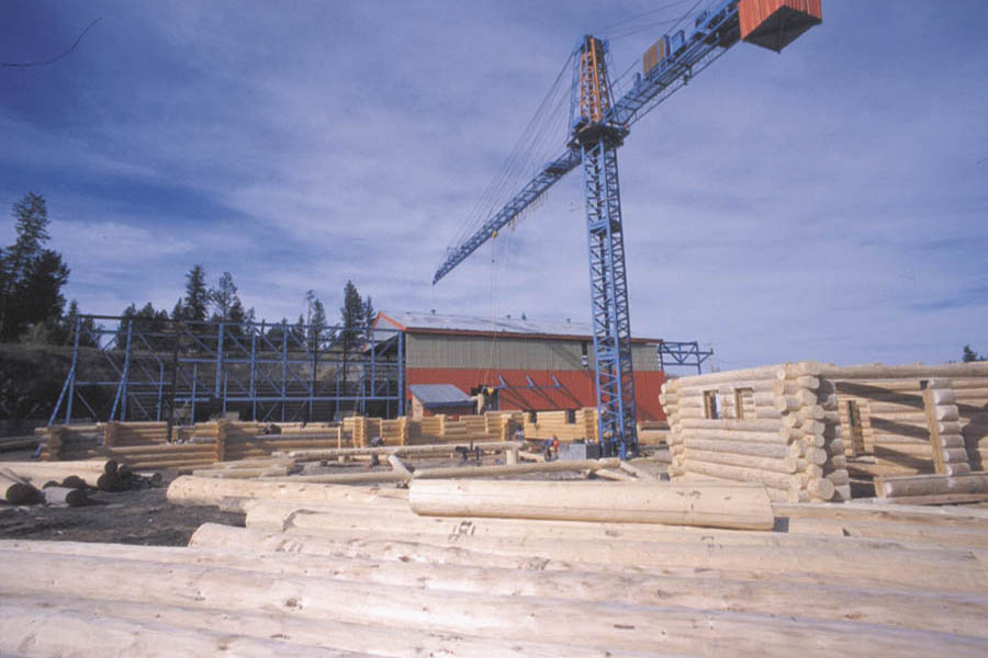 Fresh peeled logs at Sitka Log Homes construction yard